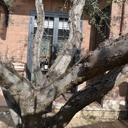 La Casetta Di Borghesiana โรม ภายนอก รูปภาพ